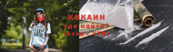 шишки Аркадак