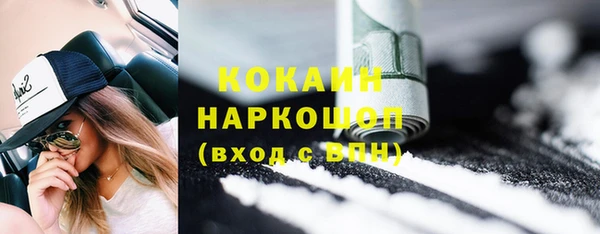 шишки Аркадак