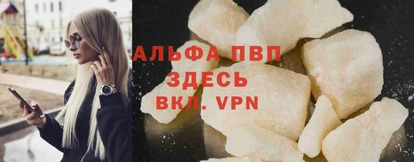 шишки Аркадак