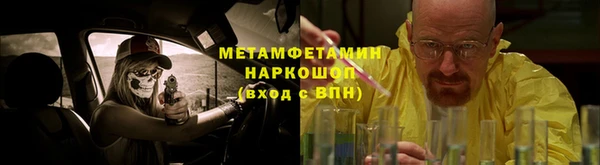 шишки Аркадак