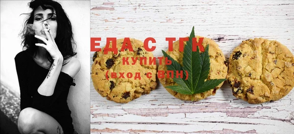 индика Армянск