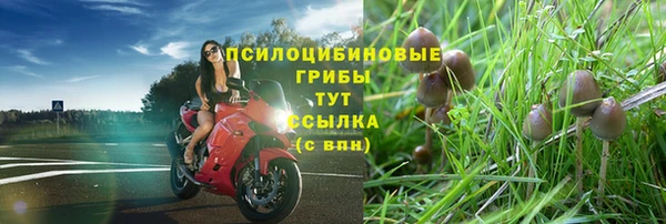индика Армянск