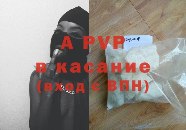 шишки Аркадак